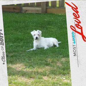 Meet your Posher, Kim